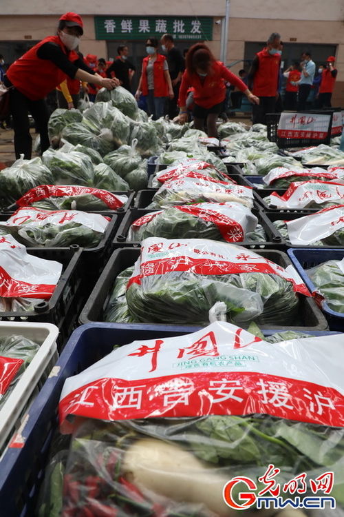 守沪者联盟 丨江西永丰 第二批支援蔬菜即将运抵上海